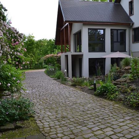 Gîte La Cour Anglaise Plobsheim Extérieur photo